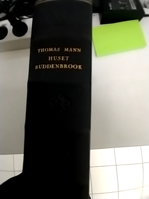 Thomas Mann: Buddenbrook